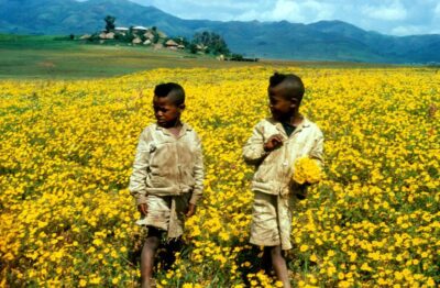 አዲሱን ዓመት እንዴት እንቀበለው?